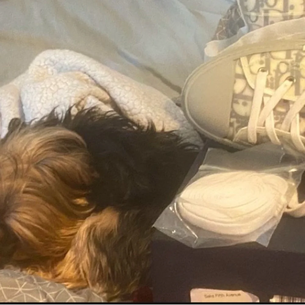 Only wore once and they have the extra laces. - Picture 2 of 3